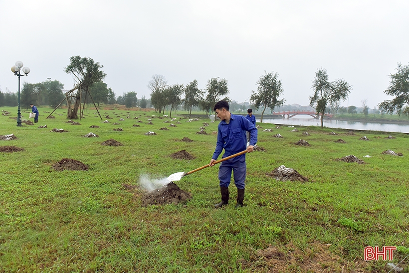  Một người dân tặng 5.000 cây xanh cho Công viên trung tâm thành phố Hà Tĩnh - Ảnh 3.