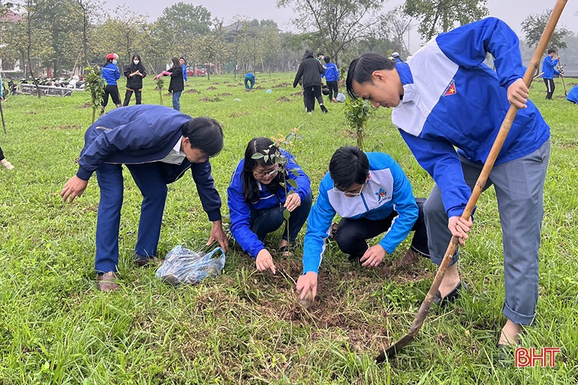  Một người dân tặng 5.000 cây xanh cho Công viên trung tâm thành phố Hà Tĩnh - Ảnh 6.