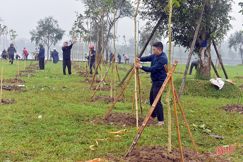  Một người dân tặng 5.000 cây xanh cho Công viên trung tâm thành phố Hà Tĩnh - Ảnh 7.