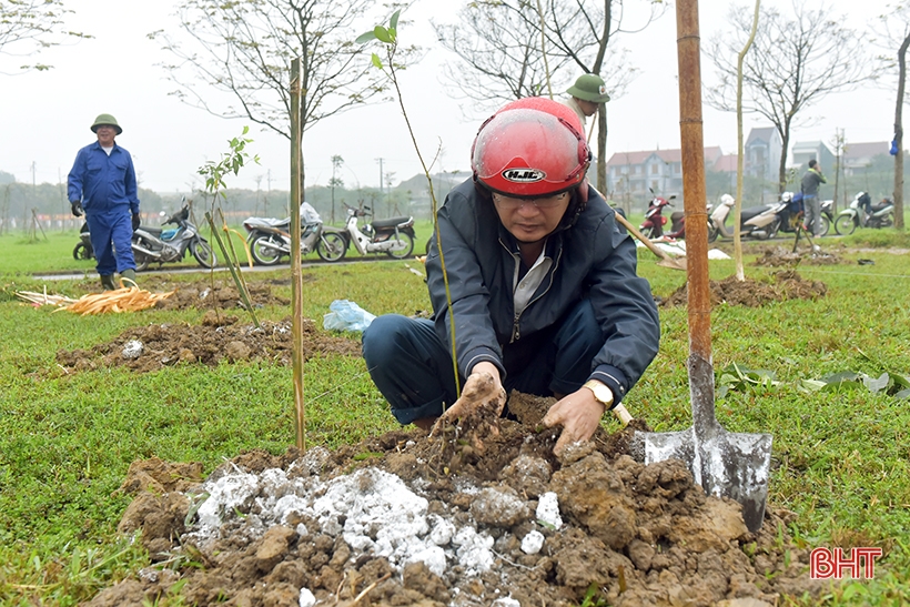  Một người dân tặng 5.000 cây xanh cho Công viên trung tâm thành phố Hà Tĩnh - Ảnh 9.