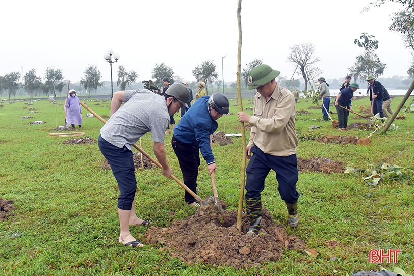  Một người dân tặng 5.000 cây xanh cho Công viên trung tâm thành phố Hà Tĩnh - Ảnh 5.