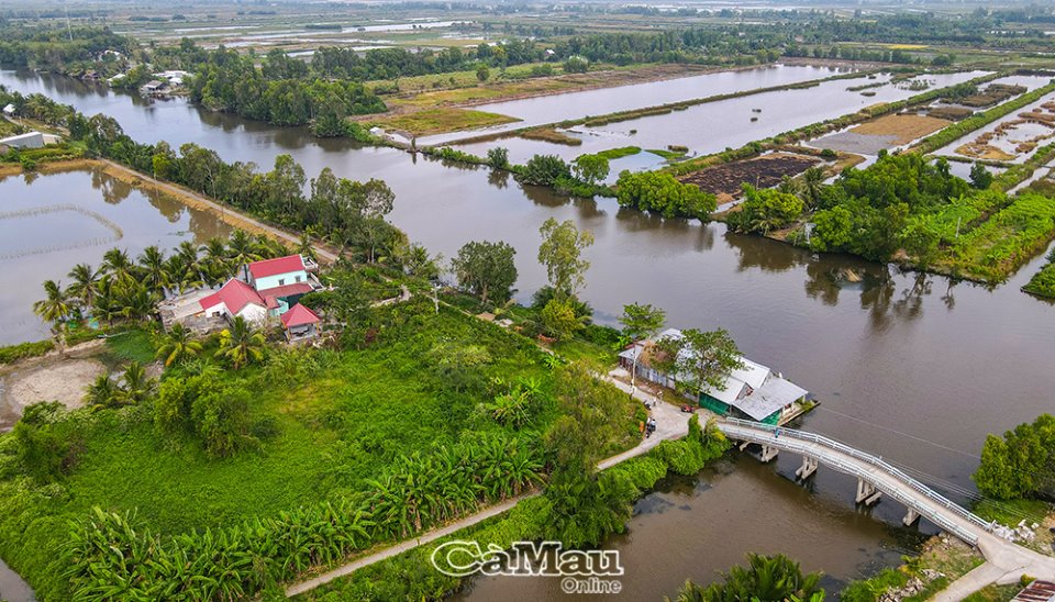 Một tiếng gà gáy ở ấp này của tỉnh Cà Mau, dân ba tỉnh lập tức nghe tiếng, đó là ba tỉnh nào? - Ảnh 2.