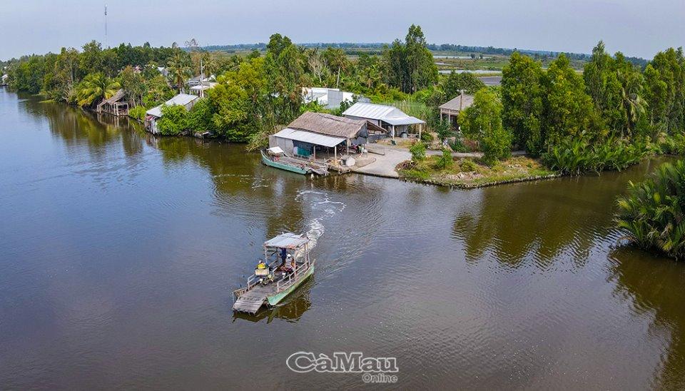 Một tiếng gà gáy ở ấp này của tỉnh Cà Mau, dân ba tỉnh lập tức nghe tiếng, đó là ba tỉnh nào? - Ảnh 4.