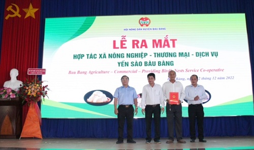 Bình Dương: Mô hình Hợp tác xã Yến sào ở huyện Bàu Bàng với số vốn 19 tỷ đồng - Ảnh 1.