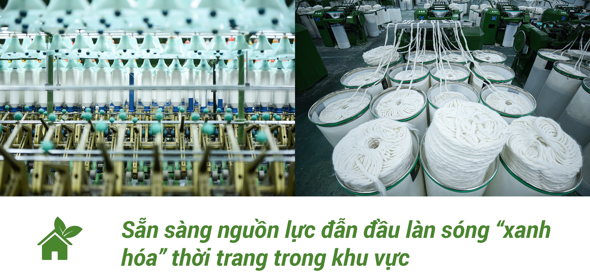 Nông Thôn Xanh: Hàng trăm tấn sinh khối cung cấp cho môi trường từ cây gai xanh - Ảnh 5.