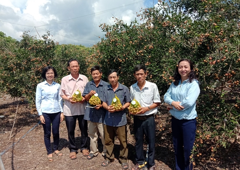 Hội Nông dân tỉnh Bình Thuận hướng về cơ sở giúp hội viên liên kết sản xuất - Ảnh 1.