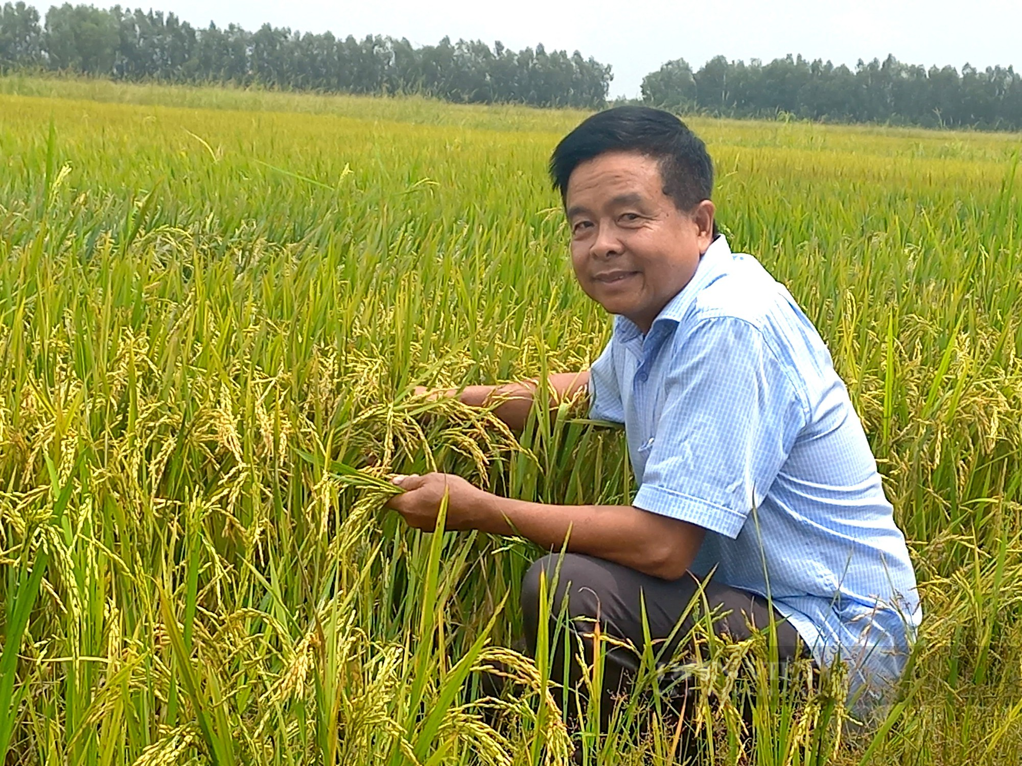 Bỏ làm giám đốc về trồng loại hạt xuất khẩu tỉ đô của Việt Nam, ông nông dân thu lợi hàng tỷ đồng/vụ - Ảnh 1.