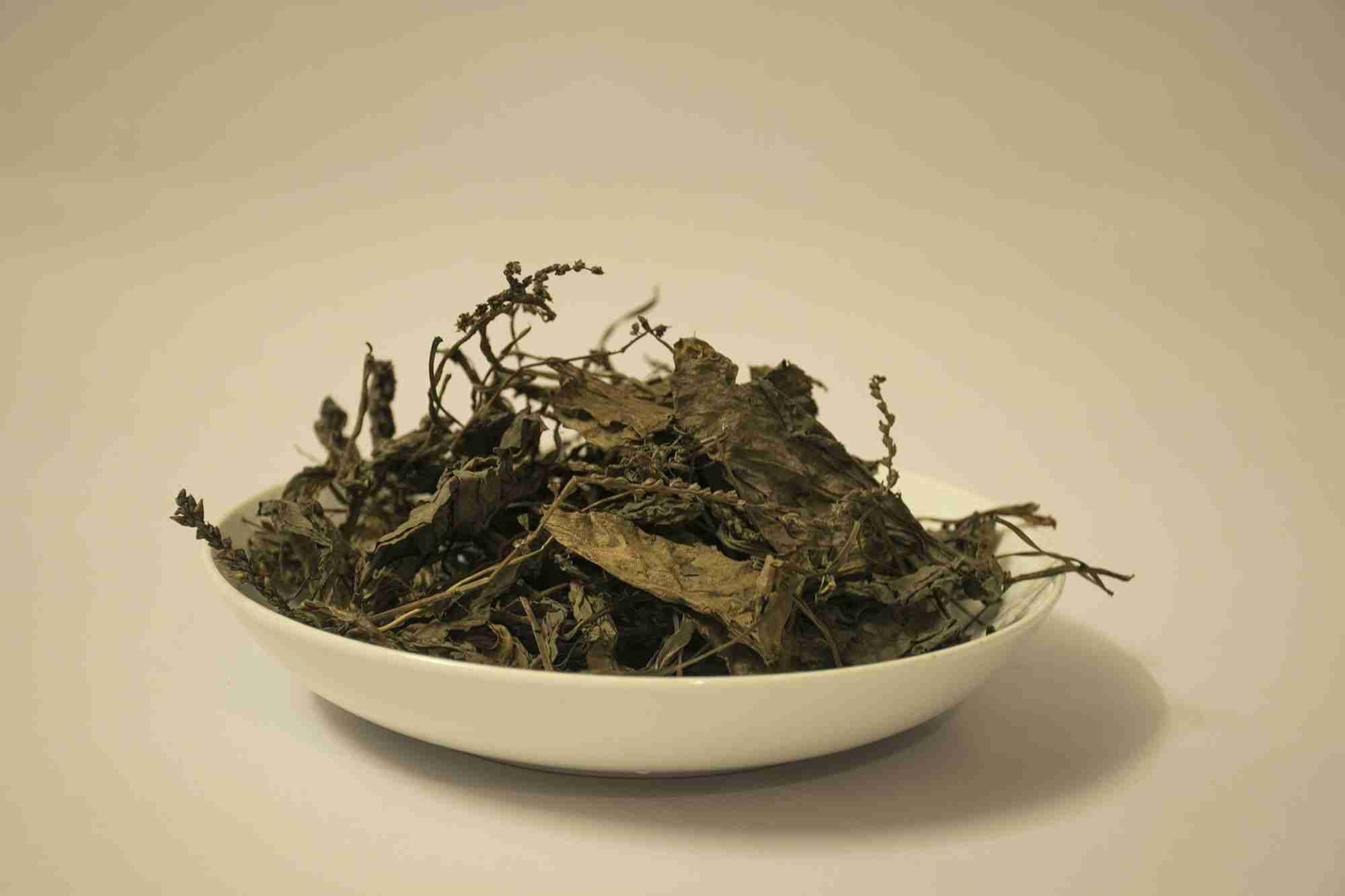 Loại rau dại không trồng, chẳng chăm mà mọc tốt um, được coi là vị thuốc quý trong Đông Y, chế biến nhiều món ngon - Ảnh 3.