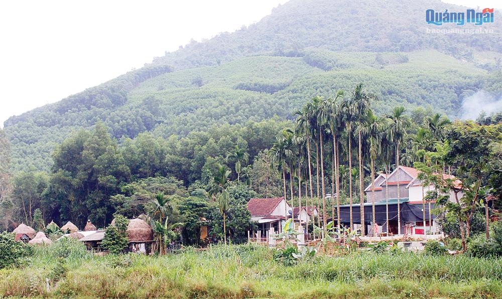 Làng cổ này ở Quảng Ngãi, người Việt xuôi phương Nam  để lại dấu tích bờ rào đá chống thú dữ - Ảnh 1.