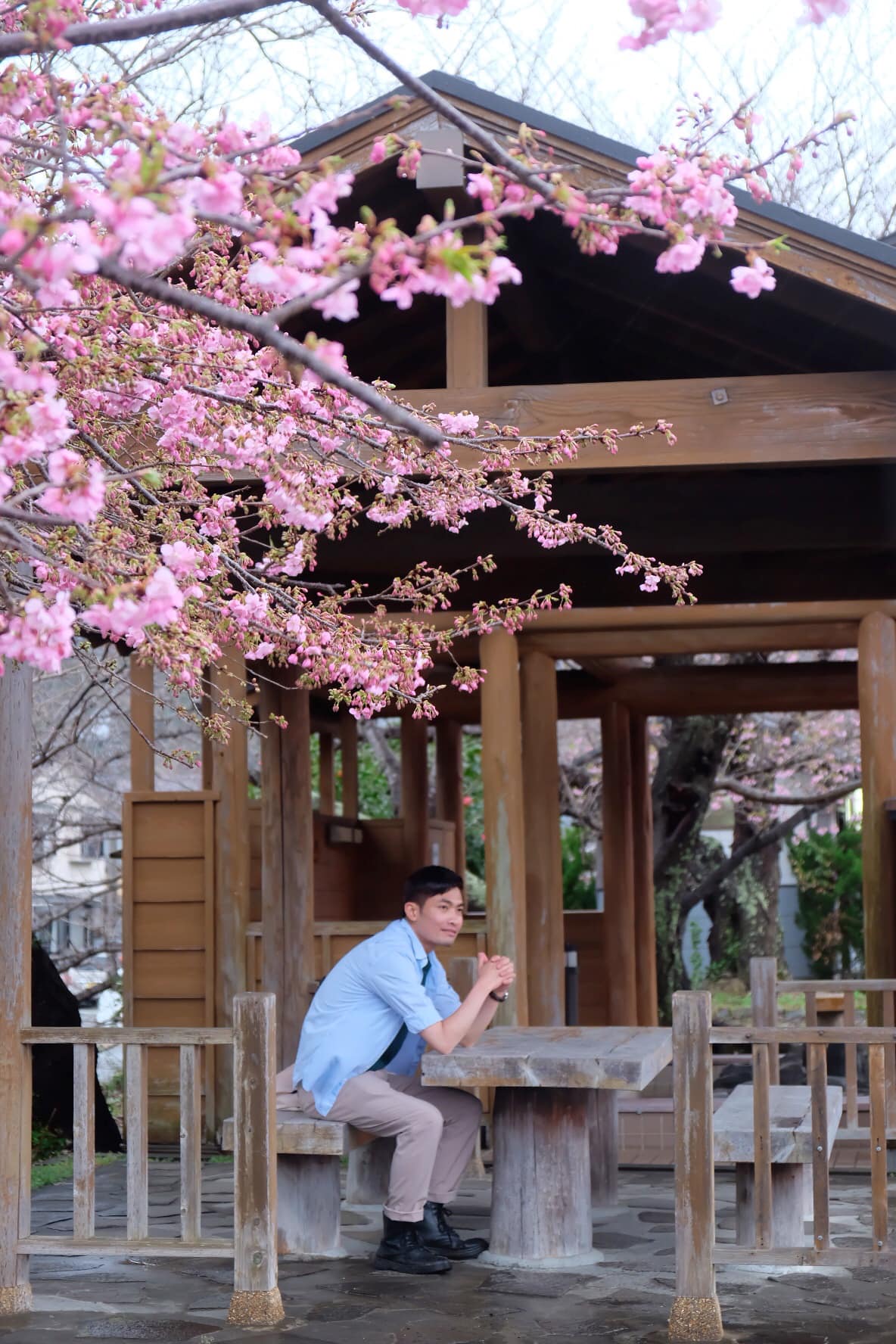 Choáng ngợp trước rừng hoa anh đào nở sớm ở Nhật Bản - Ảnh 7.