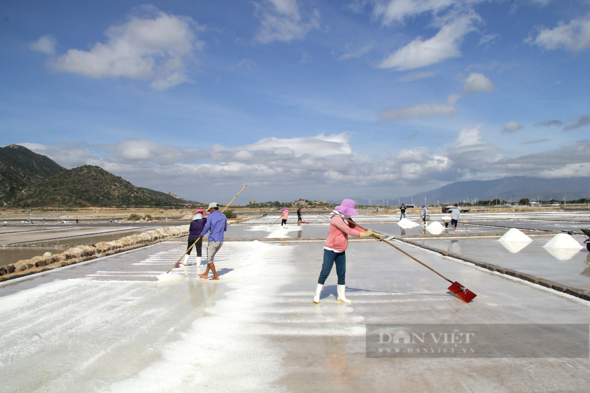 Diêm dân Ninh Thuận phấn khởi với giá muối tăng cao kỷ lục, nhiều hộ thu lãi lớn - Ảnh 5.