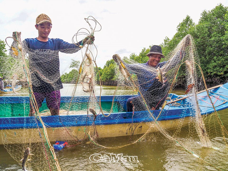 Gỡ vô số loài cá úc ở vùng quê này của Cà Mau, hai vợ chồng khiêng nặng 50kg cá ngon lên bờ - Ảnh 1.