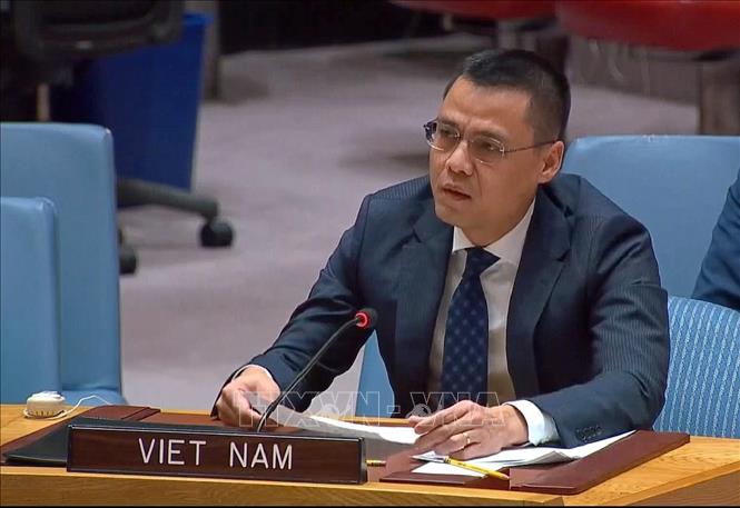 Việt Nam kêu gọi chấm dứt xung đột, tìm giải pháp hòa bình cho Ukraine - Ảnh 1.