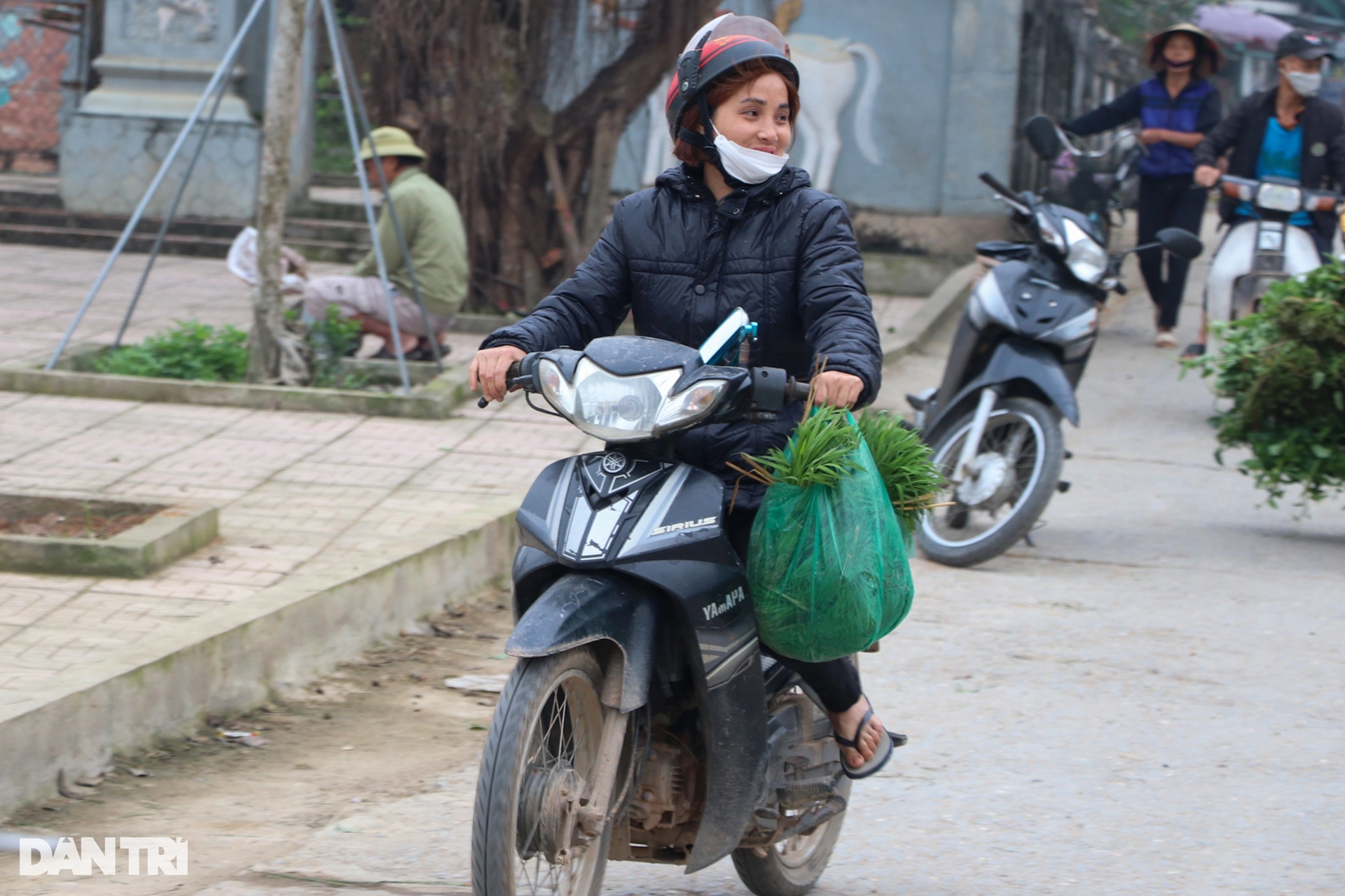 Nông dân hồ hởi nhổ lúa non bán, &quot;vớ bẫm&quot; - Ảnh 10.