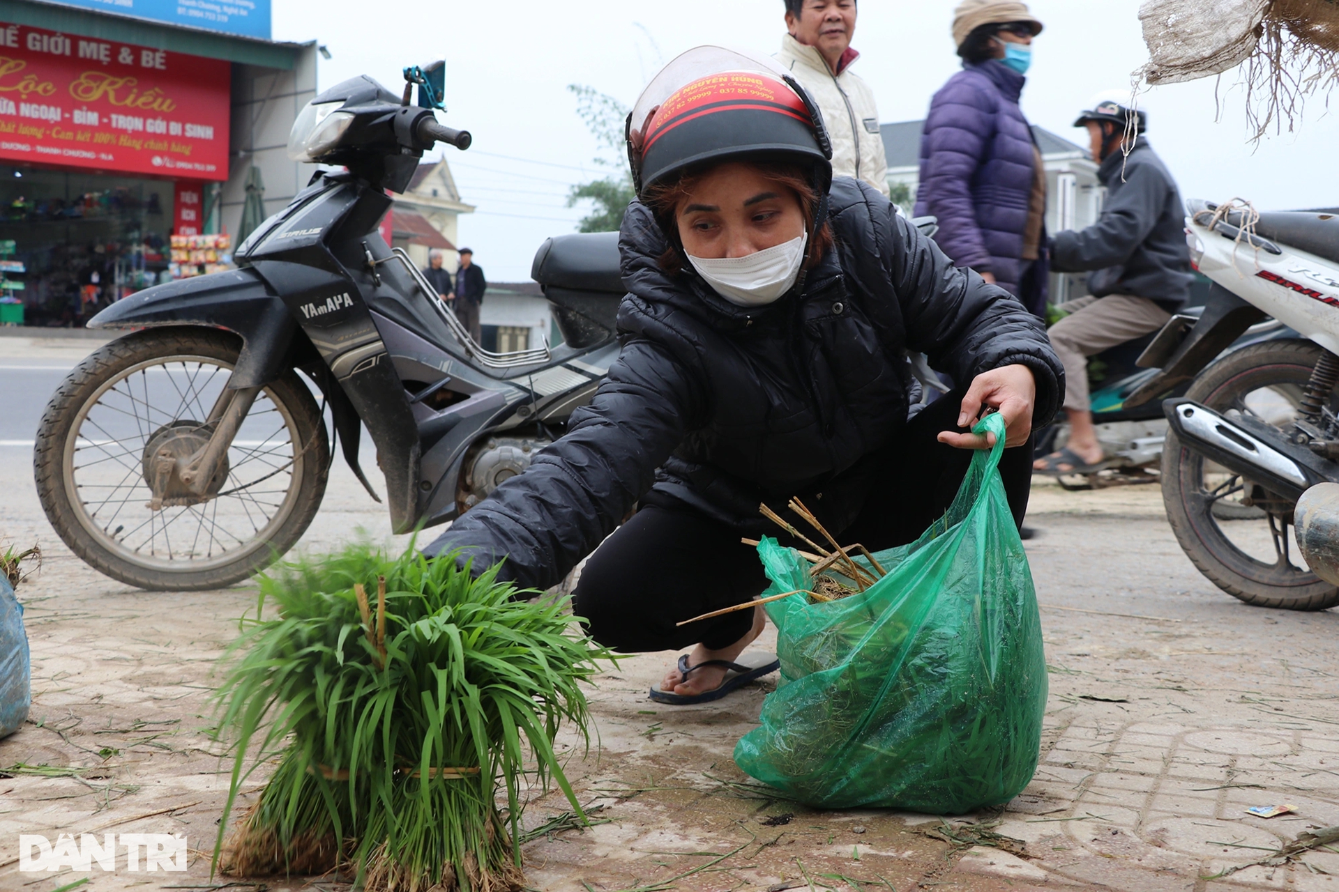 Nông dân hồ hởi nhổ lúa non bán, &quot;vớ bẫm&quot; - Ảnh 5.