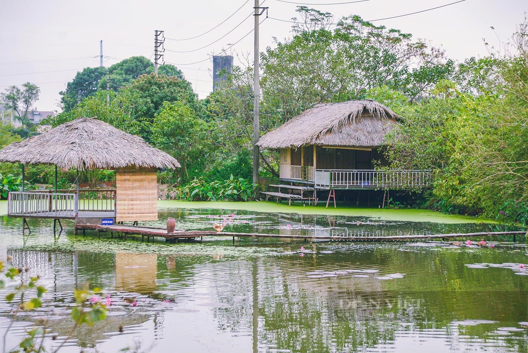 Khám phá công viên thực cảnh Việt Nam:&quot;Ốc đảo xanh&quot; giữa lòng Hà Nội - Ảnh 12.