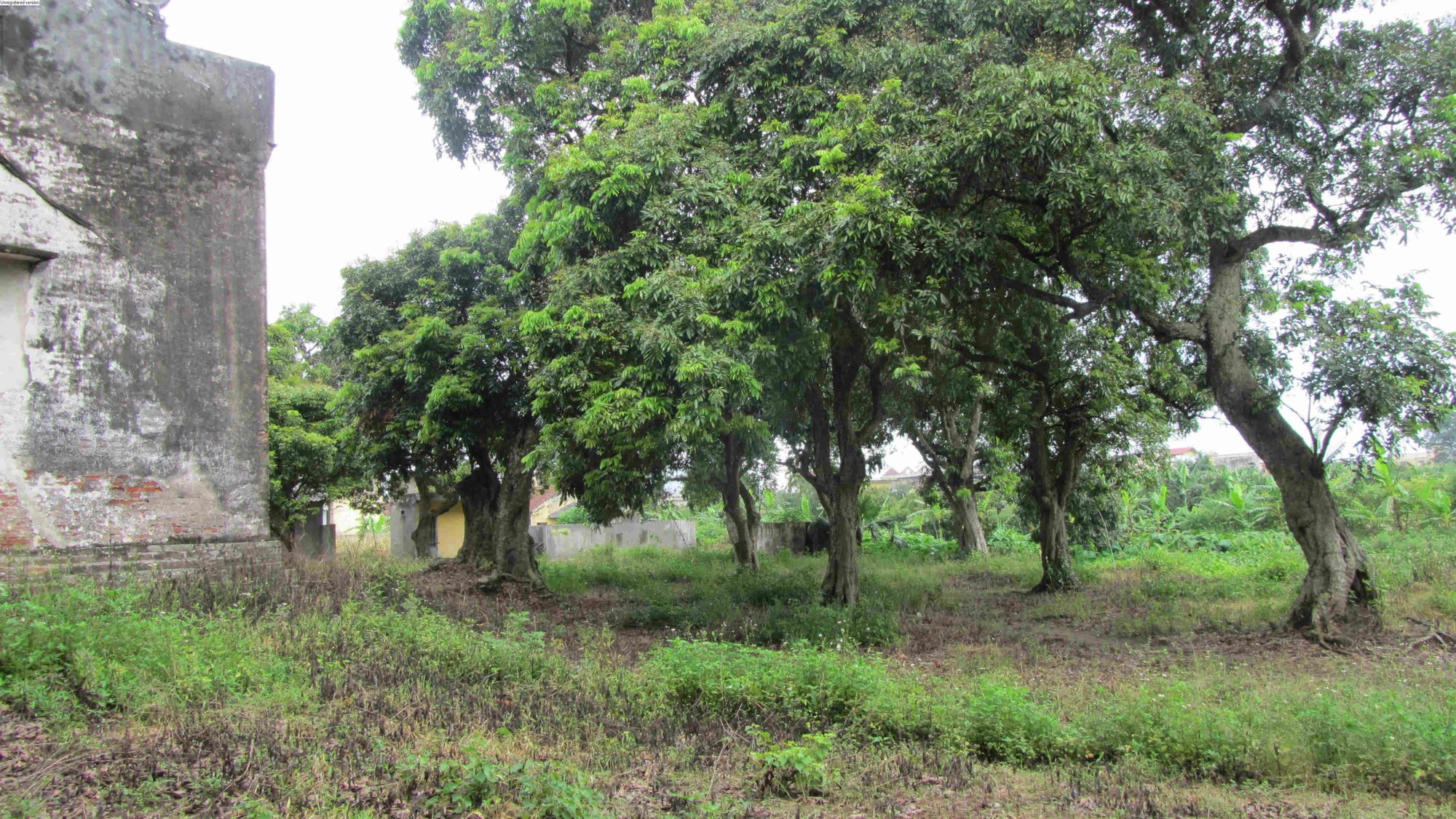 Đầm Dạ Trạch, nơi lâu đài, cung điện của Chử Đồng Tử-Tiên Dung bay về trời, nay là xã nào ở Hưng Yên? - Ảnh 9.