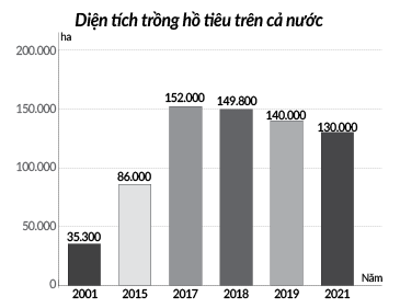 Đau đầu với việc trồng - chặt cây hồ tiêu  - Ảnh 2.