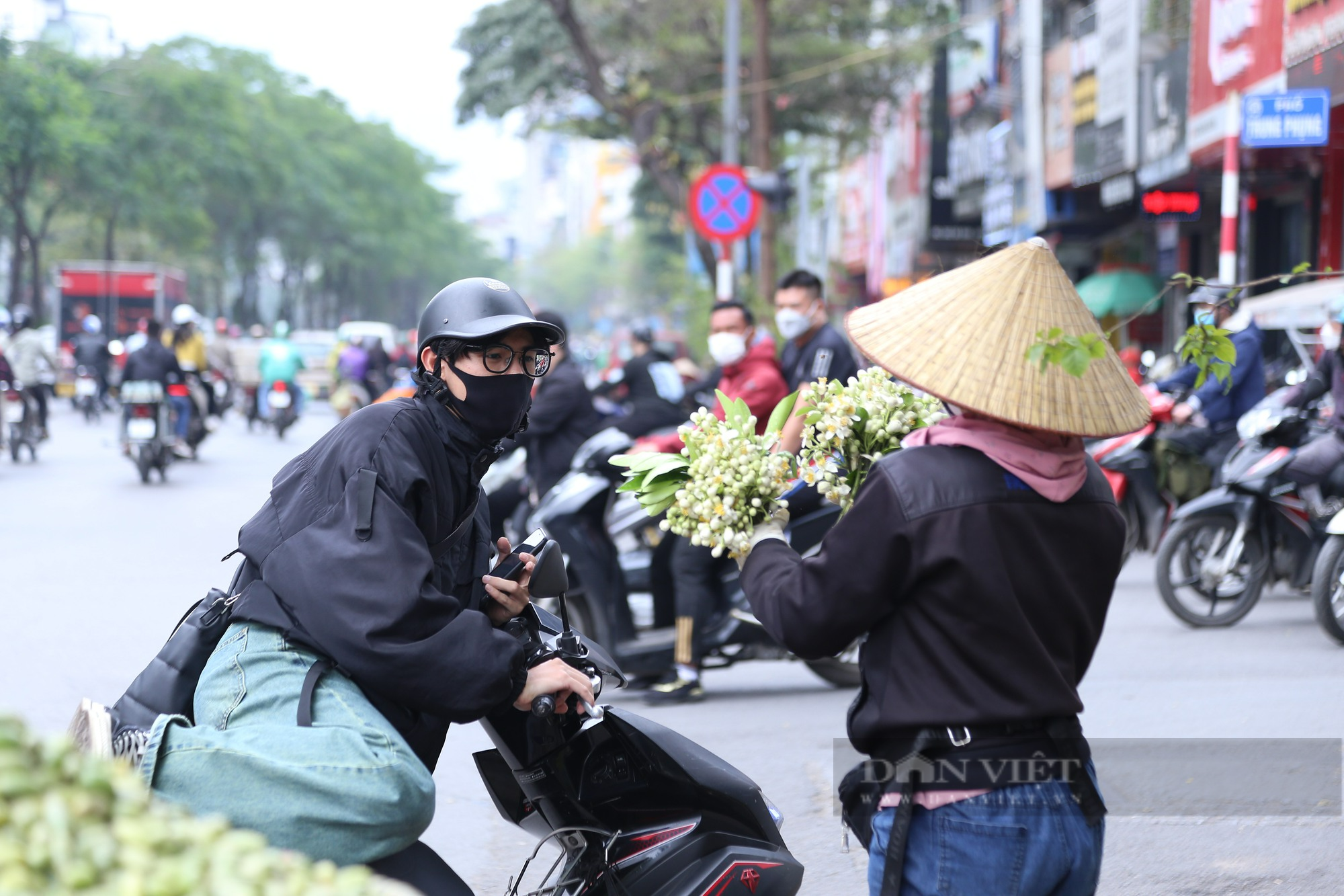 Người dân Hà Nội mê loài hoa dân dã hương thơm nồng nàn, hoa bưởi thành hàng đắt đỏ - Ảnh 3.