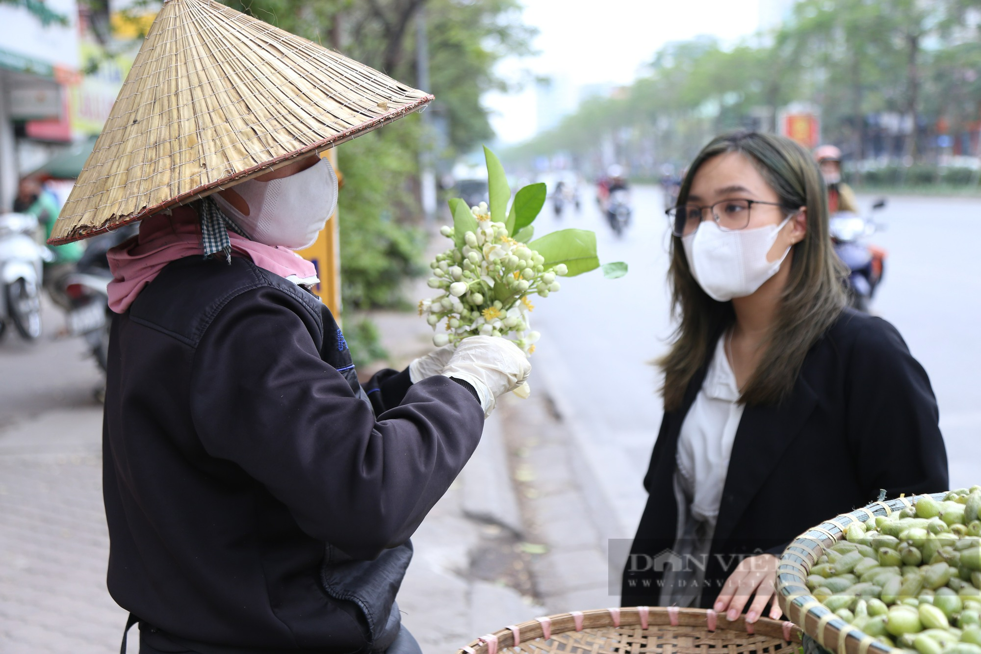 Người dân Hà Nội mê loài hoa dân dã hương thơm nồng nàn, hoa bưởi thành hàng đắt đỏ - Ảnh 5.