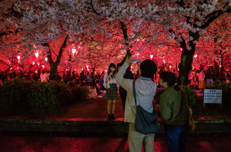Du lịch Nhật Bản: Cách để du khách biến những điều “lạ thành quen” - Ảnh 8.