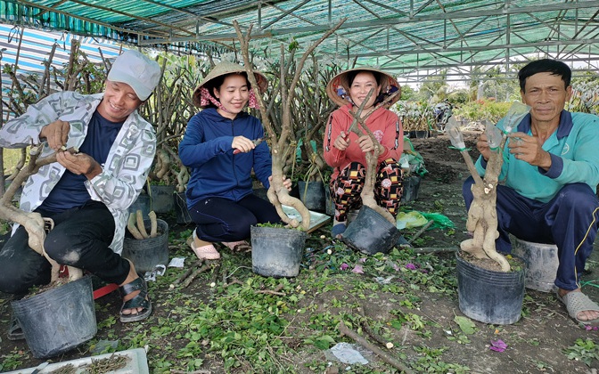 Trồng hoa giấy, &quot;tự chế&quot; ra đủ loại màu, chị nông dân khả ái đất Đồng Tháp ngờ đâu trúng đậm