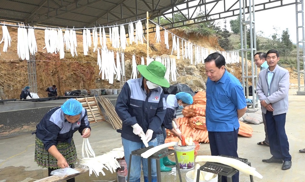 Nông sản Xín Mần có gì đặc biệt mà được xuất khẩu sang Nhật Bản Bài 2: Không vội vàng, đi có lộ trình - Ảnh 4.