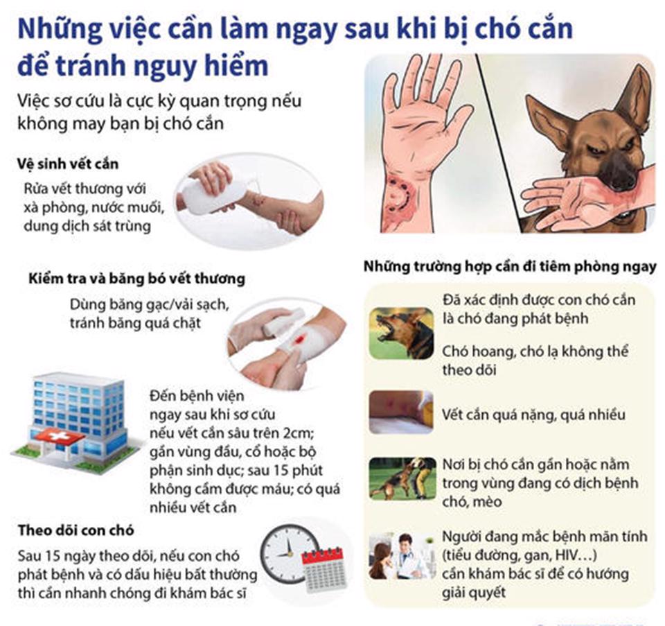 Liên tiếp nhiều người bị chó thả rông tấn công: Chuyên gia y tế cảnh báo đừng chủ quan với bệnh dại (bài cuối) - Ảnh 3.