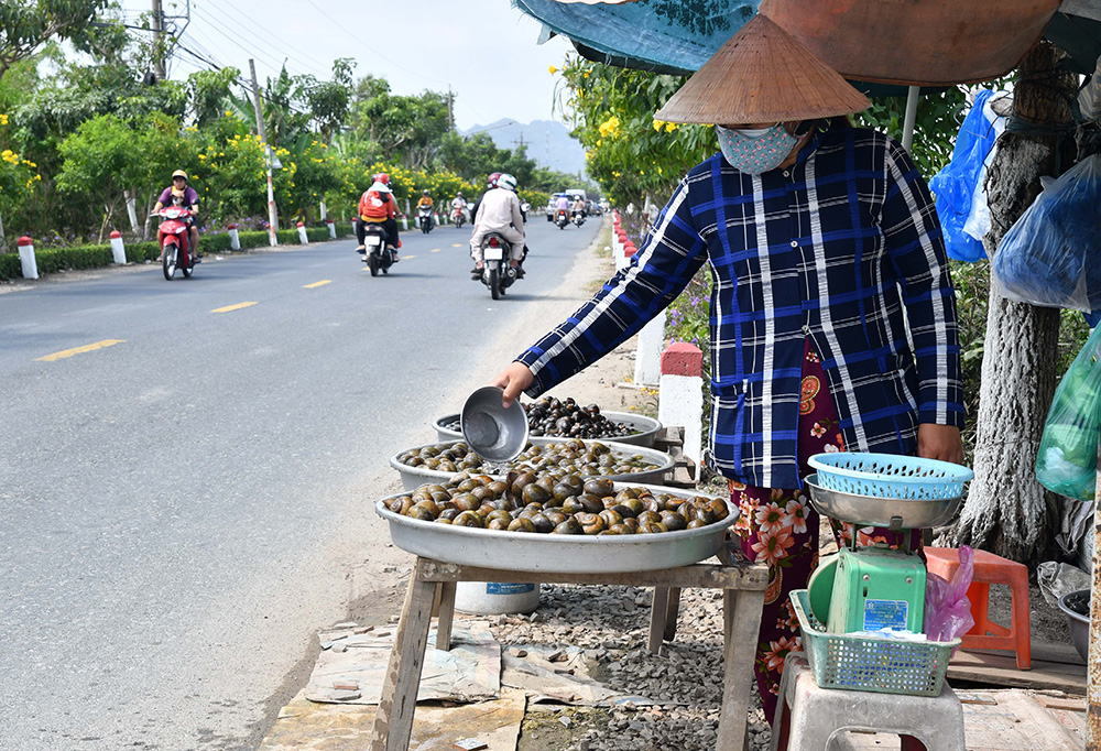 Đời ốc - Ảnh 8.