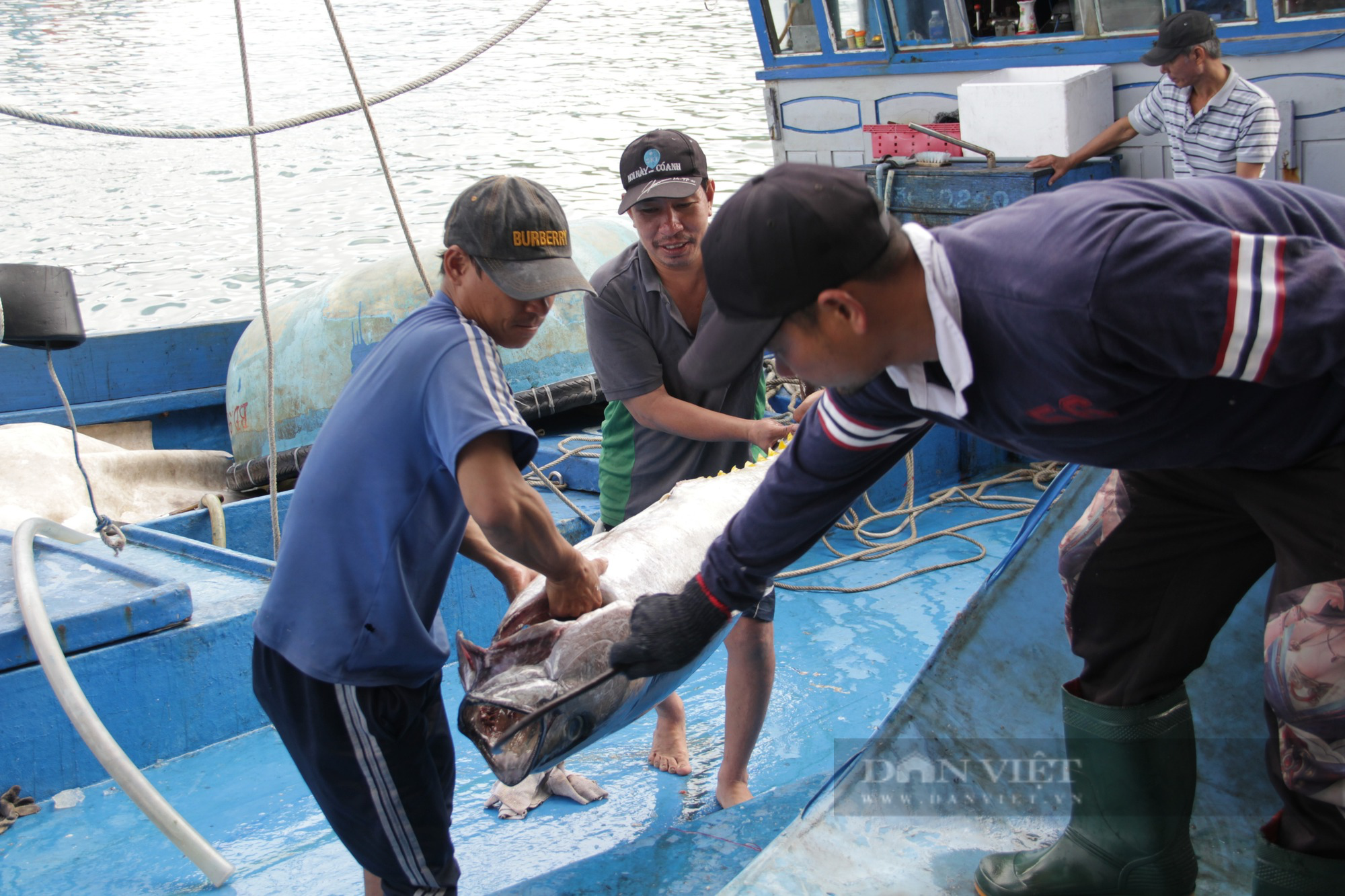 Phó Chủ tịch Bình Định yêu cầu 1 huyện kiểm điểm trách nhiệm người đứng đầu vì có tàu cá vi phạm  - Ảnh 1.