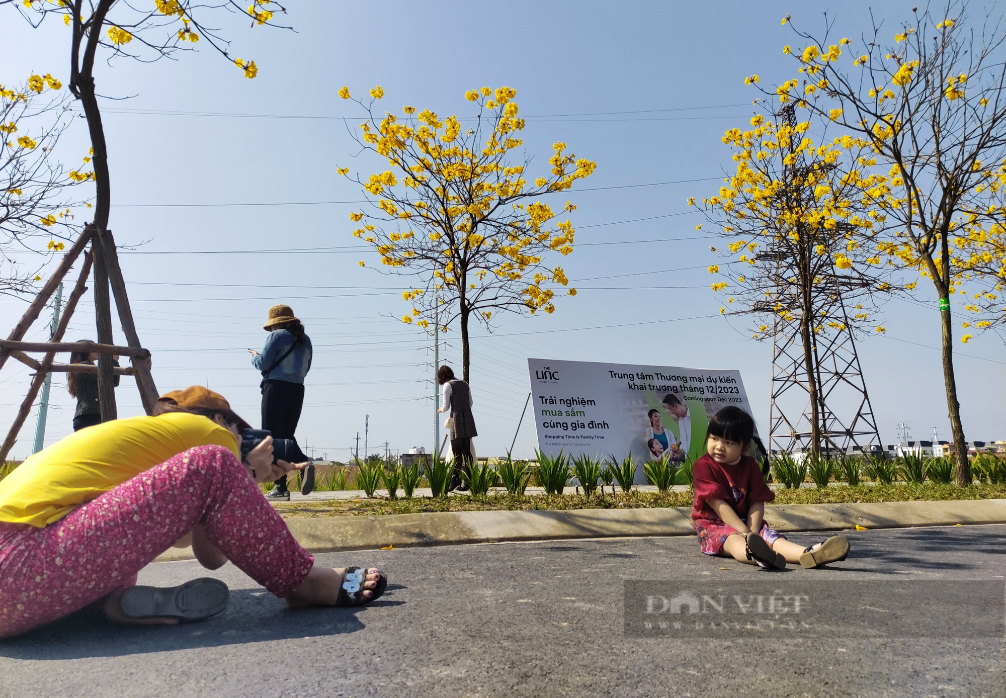 Chen nhau chụp ảnh &quot;thông trưa&quot; trên con đường hoa phong linh ở Hà Nội - Ảnh 5.