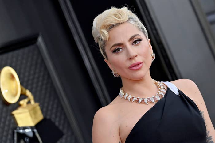 Lady Gaga bị kiện vì &quot;quịt&quot; tiền thưởng người tìm giúp chó cưng - Ảnh 1.