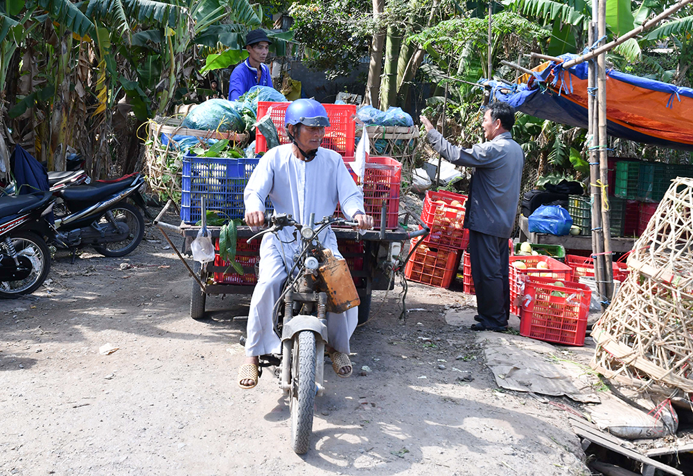 Chuyện lạ An Giang, bên sông Vàm Nao, ông nông dân nuôi &quot;báo cô&quot; đàn cá sông dày đặc, toàn con to - Ảnh 3.