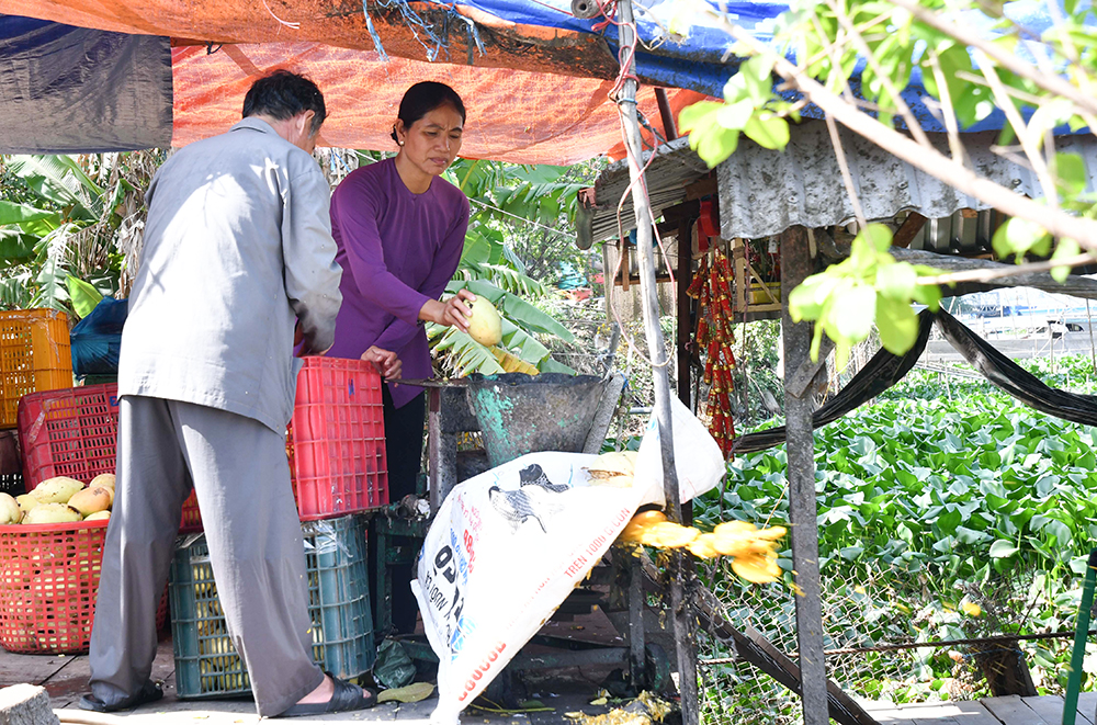 Chuyện lạ An Giang, bên sông Vàm Nao, ông nông dân nuôi &quot;báo cô&quot; đàn cá sông dày đặc, toàn con to - Ảnh 5.