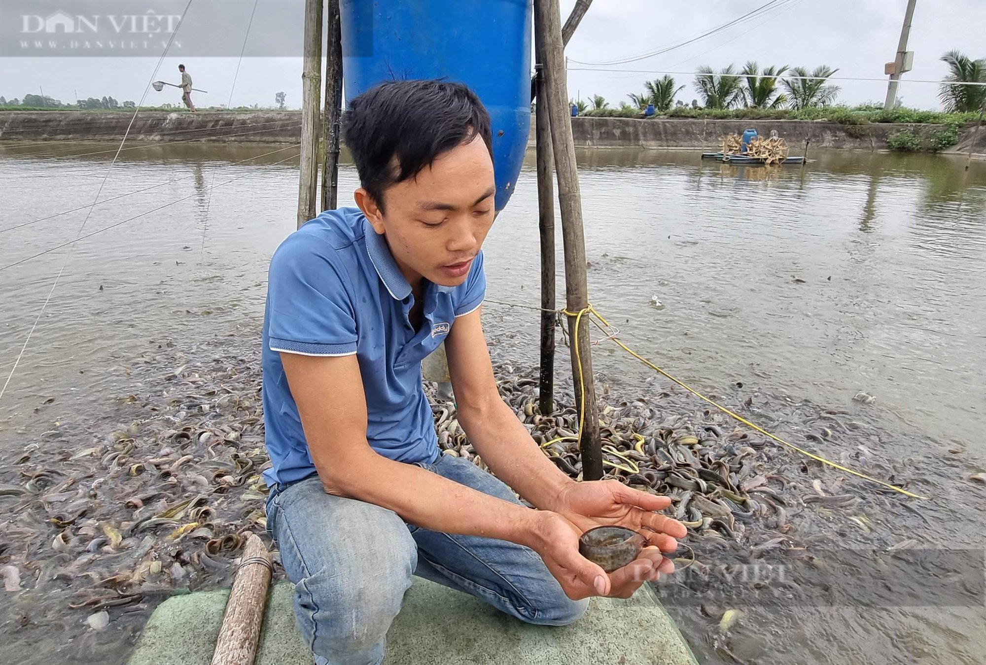 Nuôi loài cá không vảy dày đặc khó tả, một anh nông dân ở Ninh Bình lãi 2 tỷ - Ảnh 4.