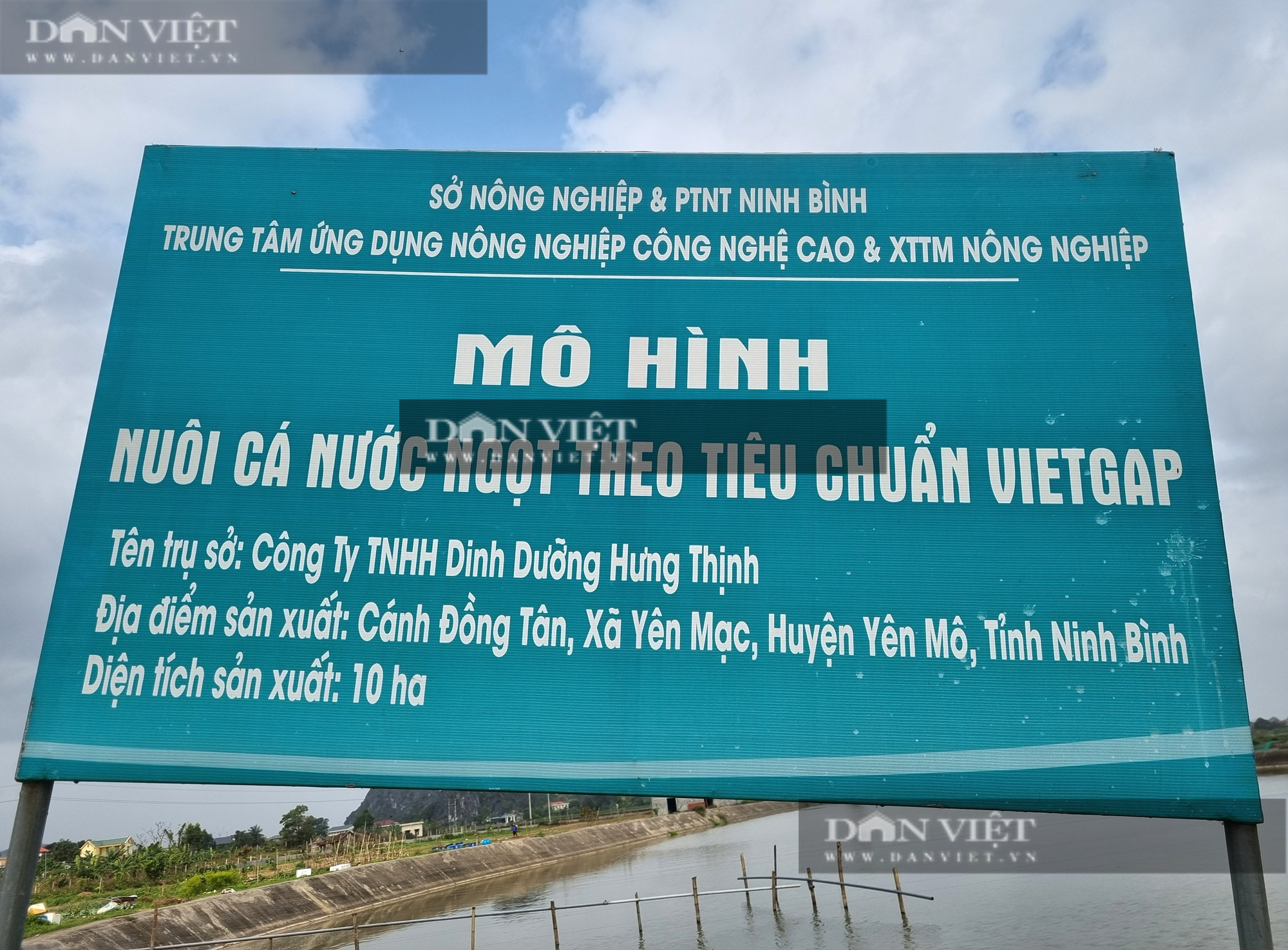 Nuôi cá chạch sụn, một nông dân ở Ninh Bình lãi 2 tỉ đồng - Ảnh 10.