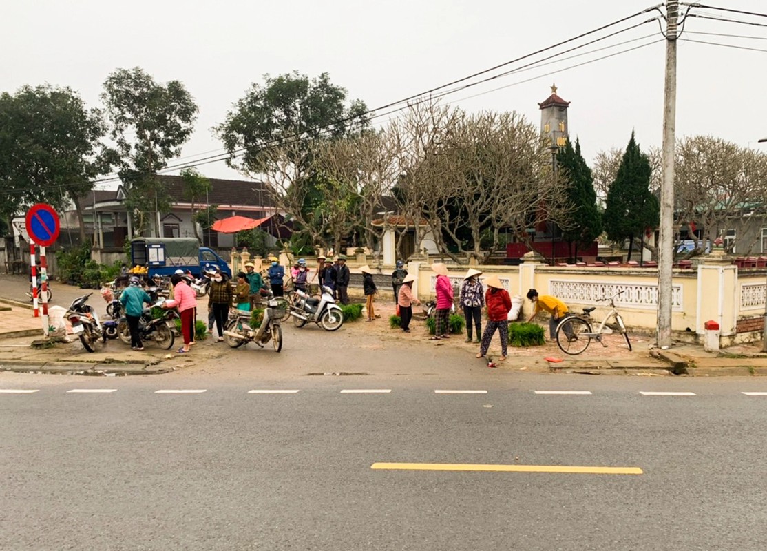 Phiên chợ bán lúa non độc nhất vô nhị ở Việt Nam tại sao lại bị nói là vừa họp đã tan? - Ảnh 2.
