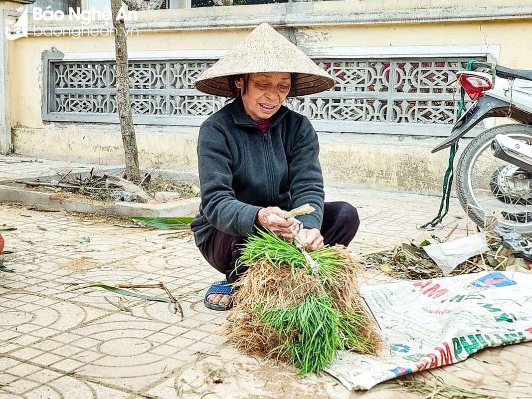 Phiên chợ bán lúa non độc nhất vô nhị ở Việt Nam tại sao lại bị nói là vừa họp đã tan? - Ảnh 6.