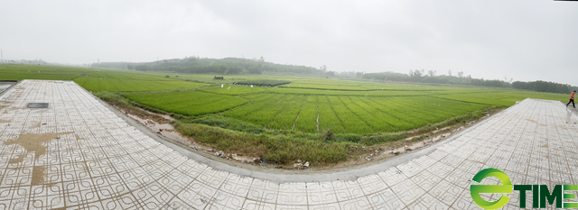 “Lạ” với dự án đường hoành tráng bị cụt đầu nằm thoi loi giữa đồng ruộng ở Quảng Ngãi - Ảnh 6.