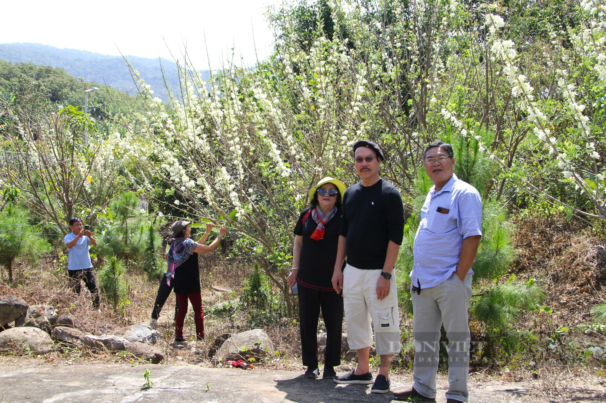 Khám phá vườn Quốc gia Phước Bình ở Ninh Thuận (Kỳ cuối): Phát triển du lịch cộng đồng nông thôn gắn với bảo vệ rừng - Ảnh 6.