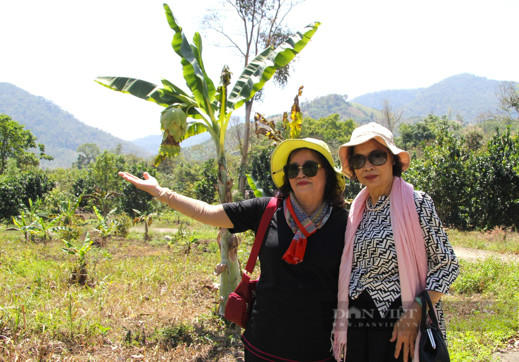 Khám phá vườn Quốc gia Phước Bình ở Ninh Thuận (Kỳ cuối): Phát triển du lịch cộng đồng nông thôn gắn với bảo vệ rừng - Ảnh 8.