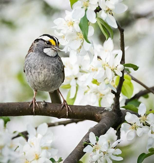 Sinh tháng Âm lịch này thông minh tiềm ẩn, tầm nhìn sáng suốt, sớm thành &quot;cao thủ&quot; kiếm tiền - Ảnh 1.