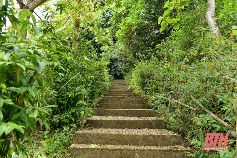 Hang động đá vôi dài 1km ở Thanh Hóa, vào động bật điện lên thấy xanh, đỏ, tím, vàng lung linh, huyền ảo - Ảnh 4.