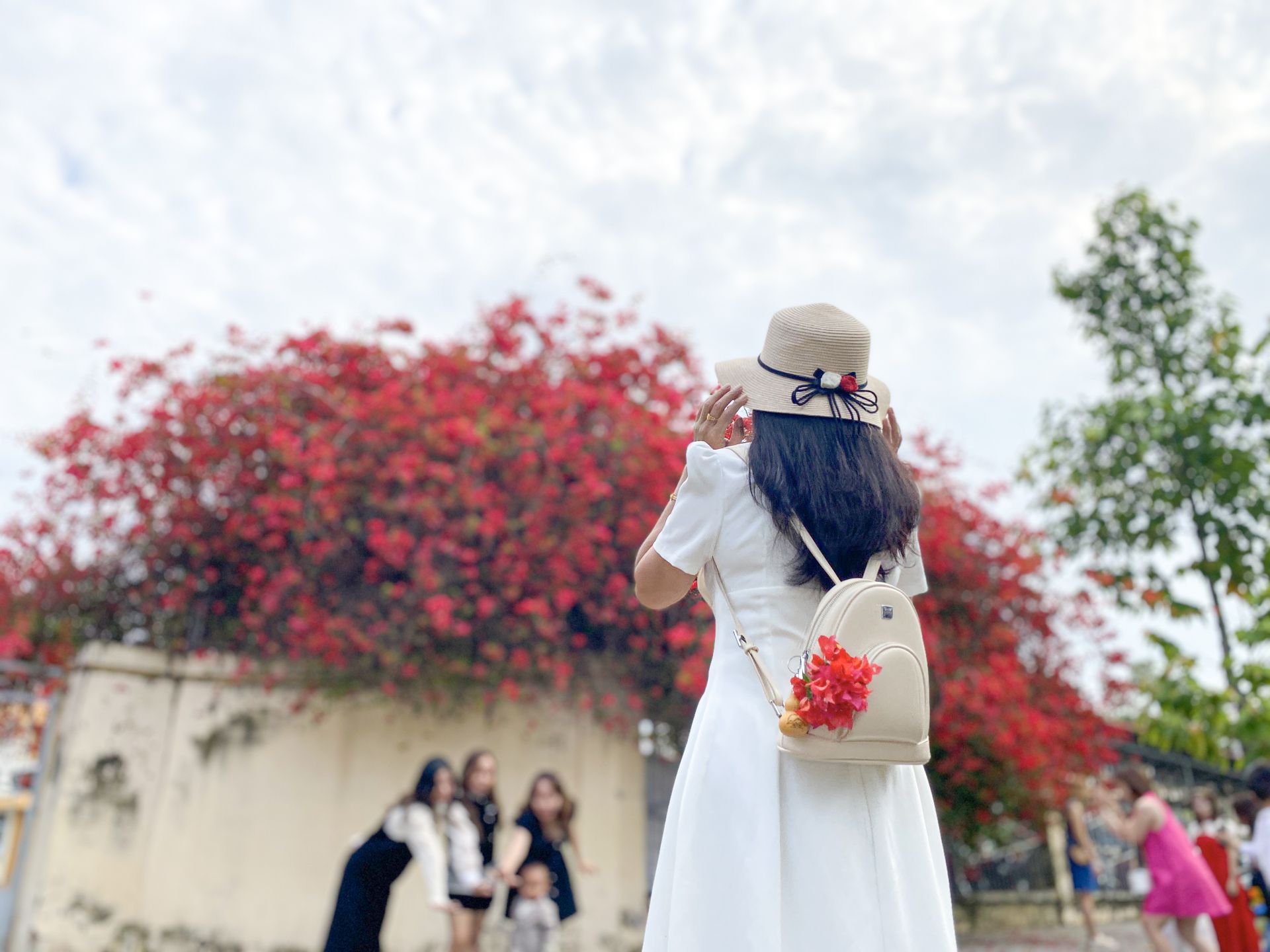 Một giàn hoa giấy tuôn bông đỏ không kịp cản đang xôn xao ở Tây Ninh, nhiều người đến chụp ảnh, ngắm say mê - Ảnh 6.