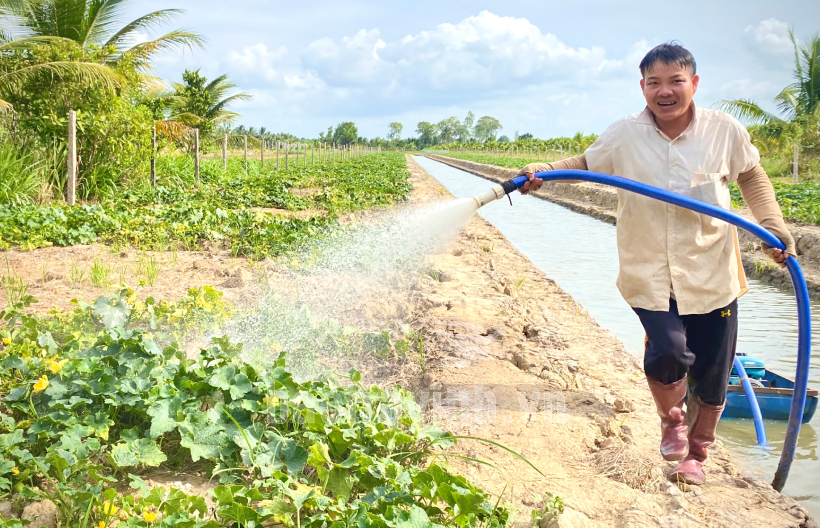 Trồng chanh không hạt, nông dân sản xuất kinh doanh giỏi ở Trà Vinh tạo công ăn việc làm cho nhiều lao động - Ảnh 3.