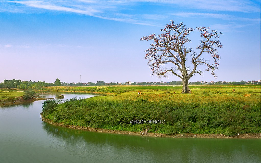 Nơi trận chiến đầu tiên của quân nhà Trần với quân Mông-Nguyên, khiến tướng giặc tự sát nay là huyện nào Vĩnh Phúc?