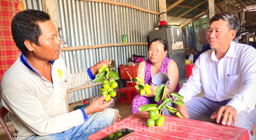 Trồng chanh không hạt, nông dân sản xuất kinh doanh giỏi ở Trà Vinh tạo công ăn việc làm cho nhiều lao động - Ảnh 1.