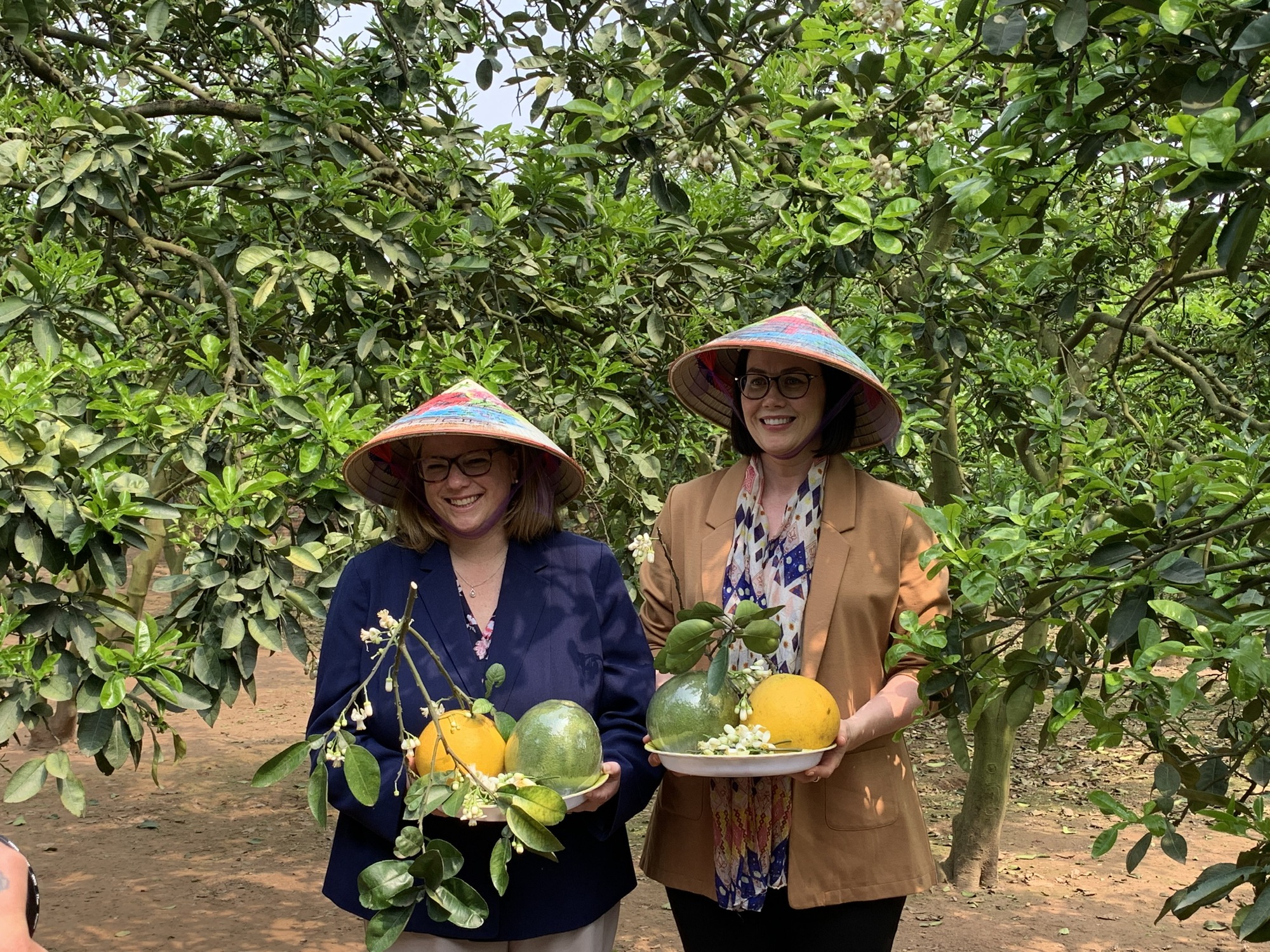 Hai Thứ trưởng Nông nghiệp Mỹ thăm vườn bưởi Diễn của nông dân Hà Nội, khen bưởi ngon xuất sắc - Ảnh 1.