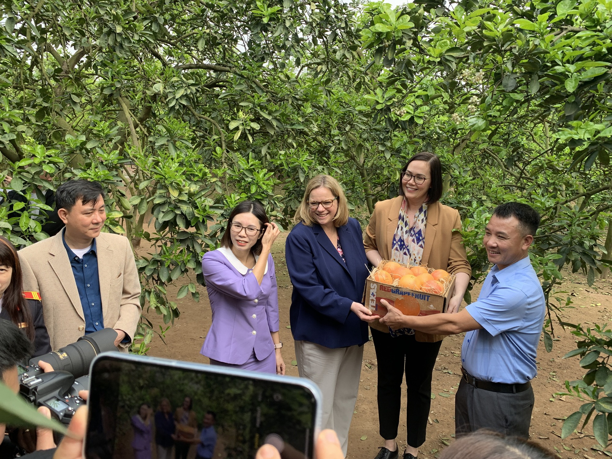 Hai Thứ trưởng Nông nghiệp Mỹ thăm vườn bưởi Diễn của nông dân Hà Nội, khen bưởi ngon xuất sắc - Ảnh 4.