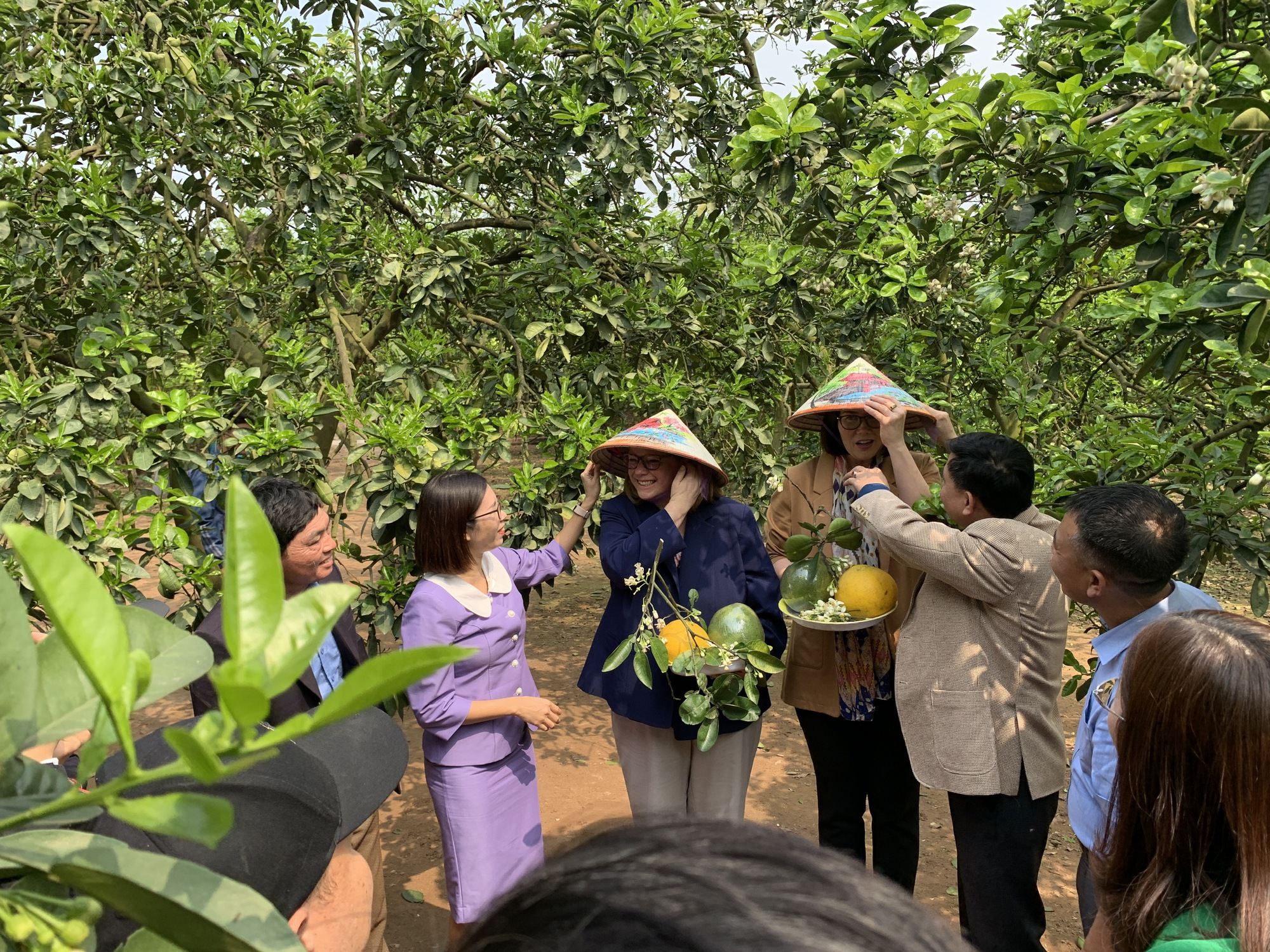 Hai Thứ trưởng Nông nghiệp Mỹ thăm vườn bưởi Diễn của nông dân Hà Nội, khen bưởi ngon xuất sắc - Ảnh 5.
